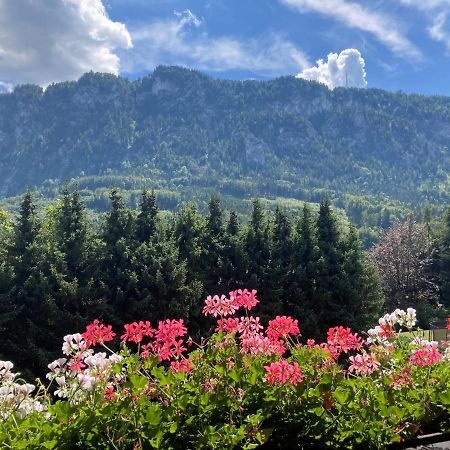 Ferienwohnung Mit Seeblick, Unterach Am Attersse Unterach am Attersee Exteriér fotografie
