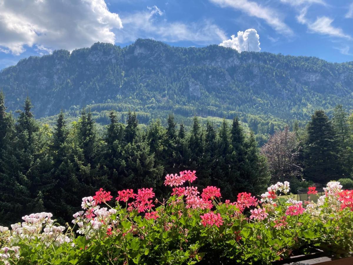Ferienwohnung Mit Seeblick, Unterach Am Attersse Unterach am Attersee Exteriér fotografie